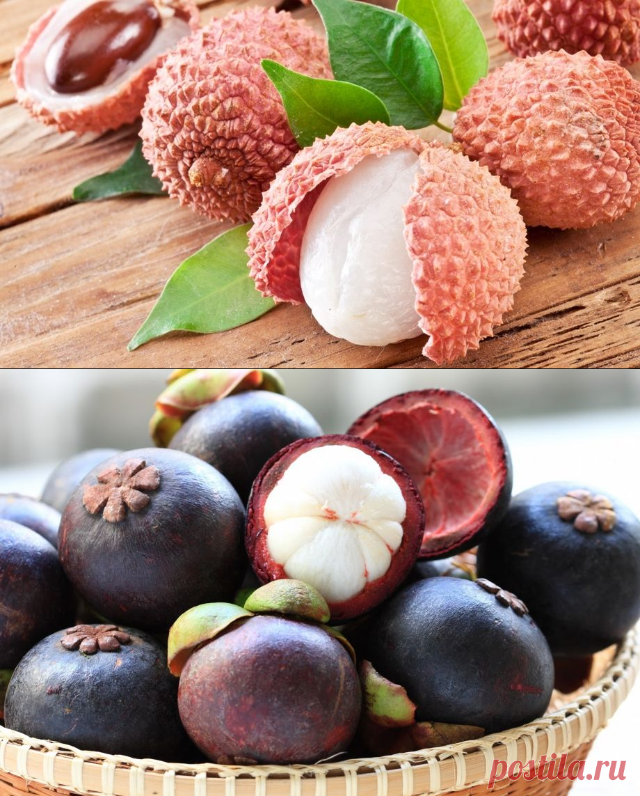 Фото фруктов и их названия. Экзотические фрукты. Съедобные экзотические фрукты. Экзотические ягоды. Тропические фрукты и ягоды.