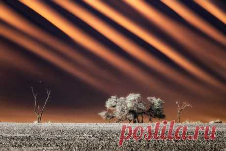 «Намибия, гигантские дюны пустыни Намиб. Март – это единственное время в году, когда первые лучи восходящего солнца дробятся о песчаный край таким образом, что превращают теневую сторону склона в шкуру зебры», – рассказывает автор снимка Дмитрий Шатров: nat-geo.ru/community/user/121768/