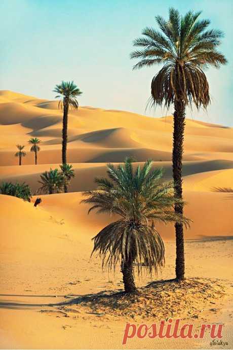 Moroccan Sahara Desert.  |  Pinterest: инструмент для поиска и хранения интересных идей