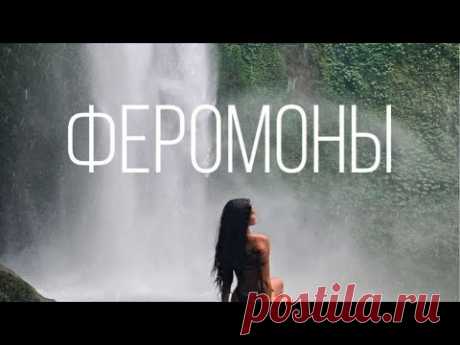 САБЛИМИНАЛ «Феромоны»/SABLIMINAL &quot;Pheromones&quot;