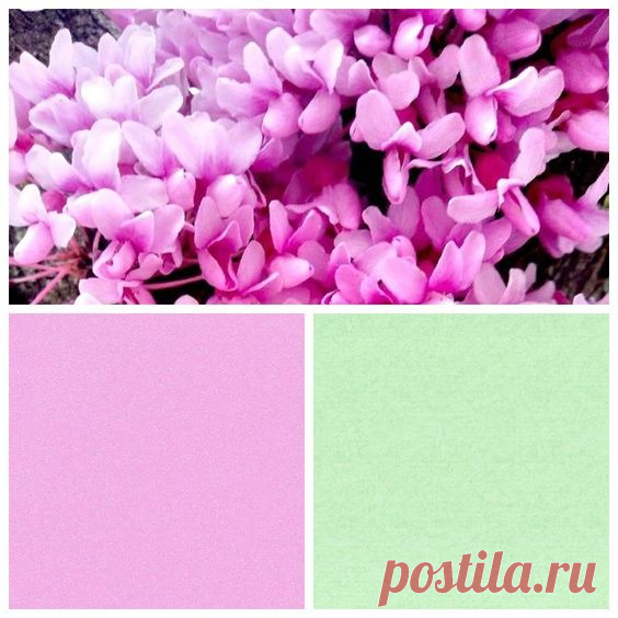 Pinterest Beautiful collage flowers color types pink pink color colors Pinterest Красивый коллаж
#винтаж #мода #дизайн