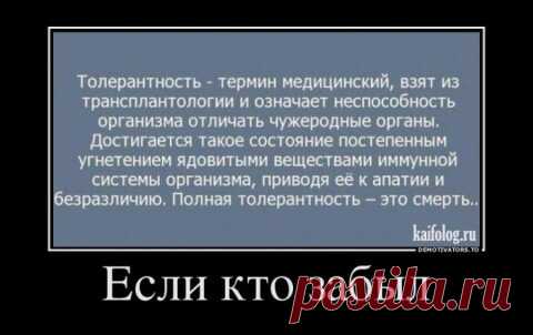 Категорически - нет. Есть своя страна, там пусть и развлекаются как хотят. | Отважная Славянка | Дзен