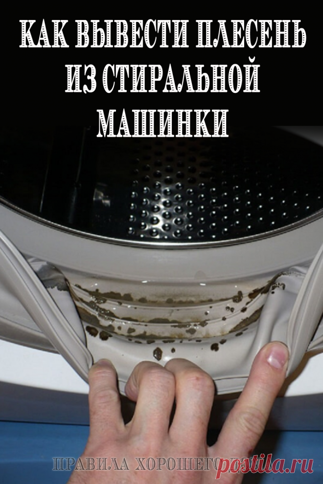 Плесень в стиральной машинке: как ее правильно убрать - Советы для женщин