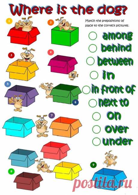 Where's the dog - prepositions of place worksheet - Free ESL printable worksheets made by teachers