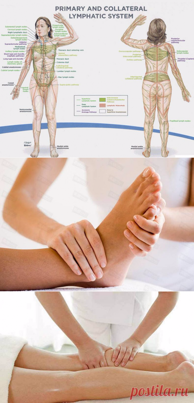 Лимфодренажный массаж самостоятельно в домашних. Лимфодренажный массаж ног. Лимфодренажный массаж тела. Техника лимфодренажного массажа ног. Лимфодренажный самомассаж.