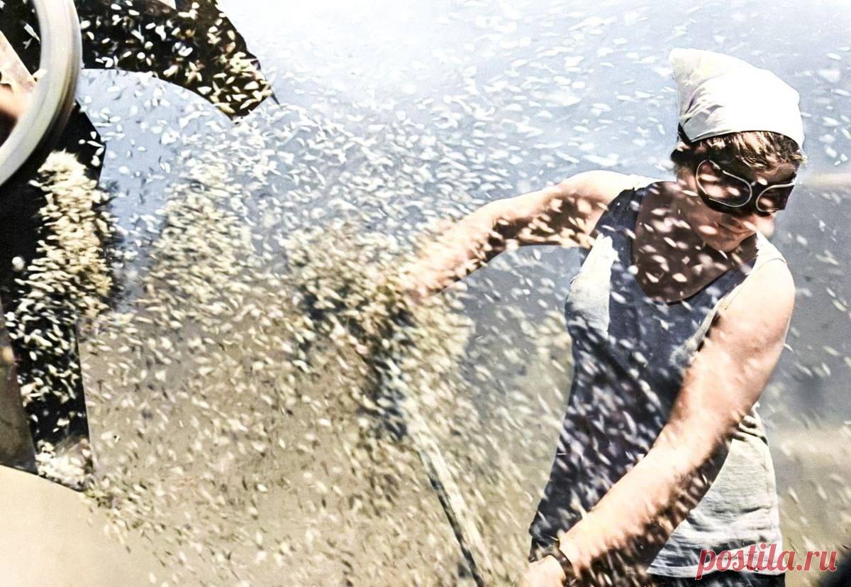 Заработок в Интернете: 5 реальных способов для новичка | Инструкция https://seoded.blogspot.com/2025/10/zarabotok-v-internete-5-sposobov.html
#заработок #интернет