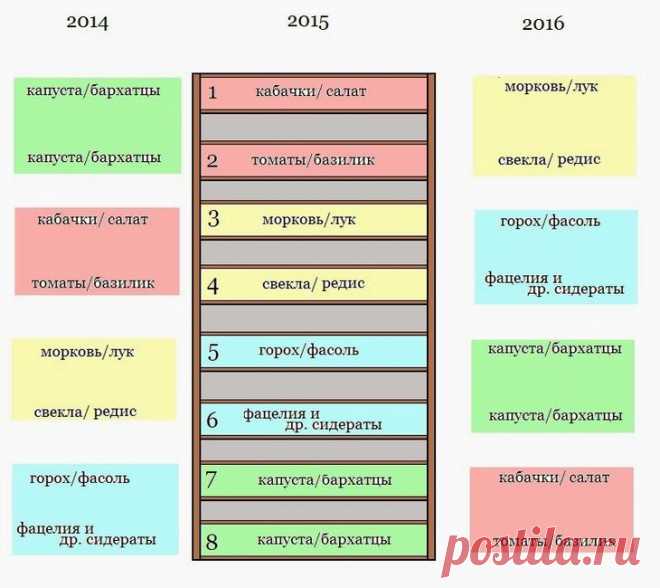Шпаргалка на лето. Чем и когда удобрять овощи
