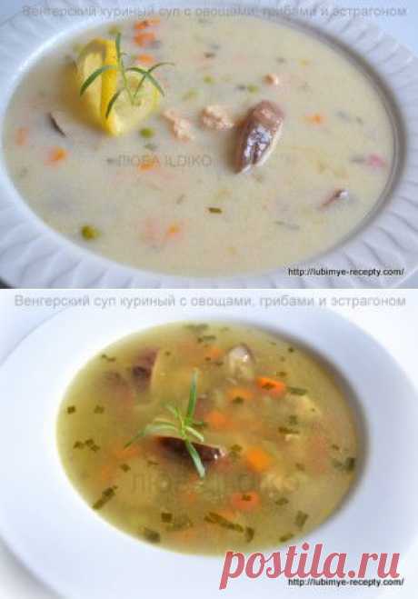Куриный суп с овощами, грибами и эстрагоном — «Тарконь лэвэш» | 4vkusa.ru