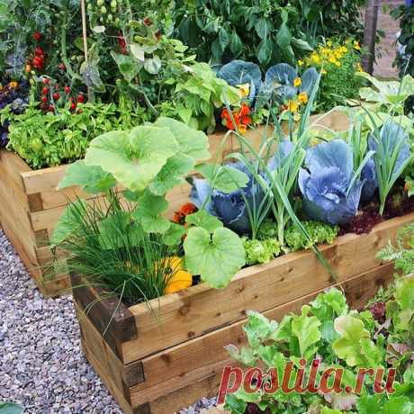 Creative ways to grow vegetables and fruits in the garden: 30 super inspiration ideas | My desired home