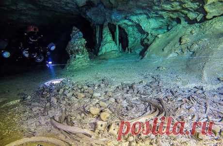 В крупнейшей подводной пещере Мексики на полуострове Юкатан археологи сделали жуткую, но поразительную находку — останки человека, который жил около 10 000 лет назад