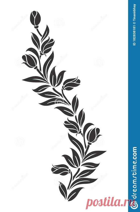 Vector Vintage Ornament Calligraphy Frame Pattern Stock Vector - Illustration of design, monogram: 182838181