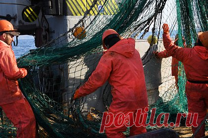 Радиоактивность рыбы в России после сброса воды с «Фукусимы» оценили. В пробах российской рыбы, добытой недалеко от места сброса воды с японской АЭС «Фукусима-1», не выявили повышенной радиоактивности. Такую оценка продукции дали в приморском межрегиональном управлении Россельхознадзора. Исследователи изучили 112 проб рыбы весом 26,7 тысячи тонн.