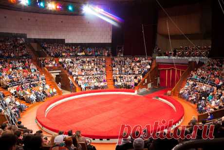 арена цирка, манеж, цирковой оркестр