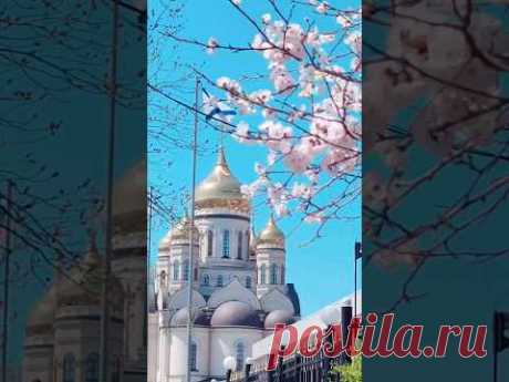 1 мая. #весна #владивосток #любимый_город #май