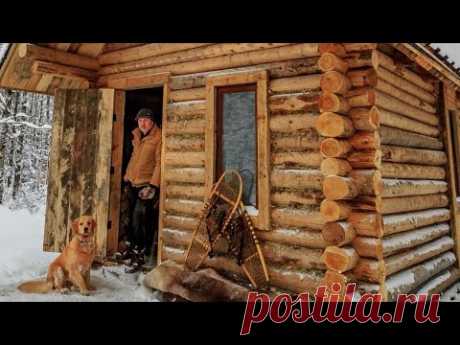 Off Grid Log Cabin: Alone with my Dog in an Ice Storm