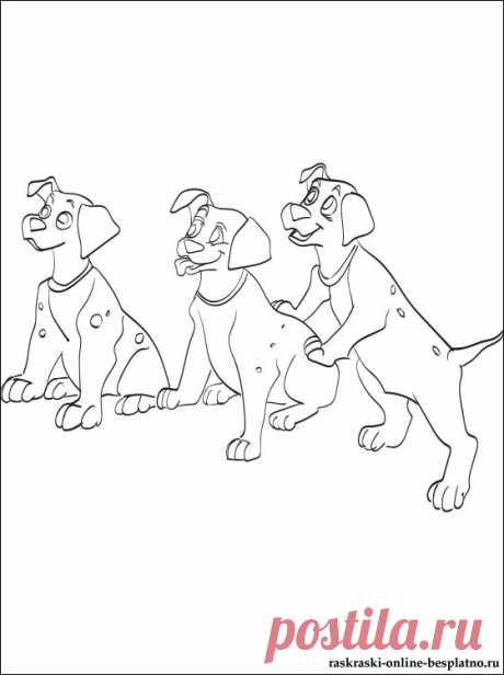 Раскраска щенки 101 Далматинец | Раскраски для детей На картинке изображены три веселых щенка породы далматин. Щенки этой породы весьма активные и любят долгие прогулки на свежем воздухе.