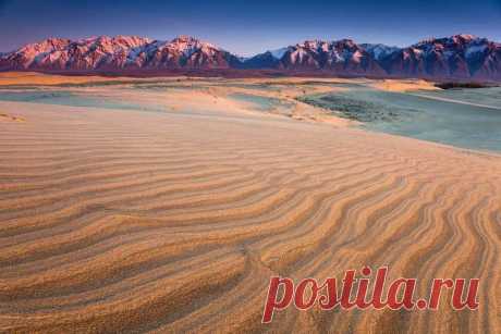 Чарские пески — пустыня в сибирской тайге