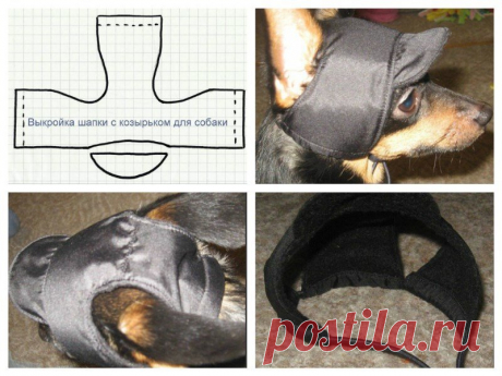 Как сшить, связать шапку для собаки своими руками (модели, выкройки, схемы, описание)