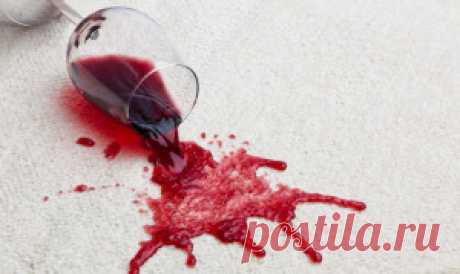 Как отстирать красное вино с разных тканей | Путеводитель по жизни