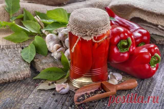 Болгарское лечо, медовый соус. Что можно заготовить на зиму из перца | Продукты и напитки | Кухня | Аргументы и Факты