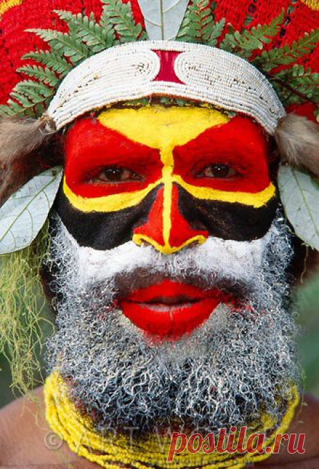 Портрет жителя племени Менди, Папуа - Новая Гвинея.