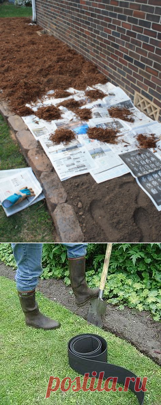 The newspaper will prevent any grass and weed seeds from germinating, but unlike fabric, it will decompose after about 18 months. By that time, any…