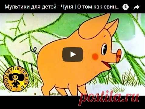 Чуня, мультфильм (1968), смотреть мультики онлайн бесплатно | Русская сказка Мультфильм 