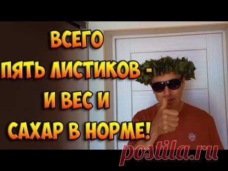 ВСЕГО ПЯТЬ ЛИСТИКОВ - И ВАШ ВЕС и САХАР В НОРМЕ! ИДЕАЛЬНЫЙ ЗАВТРАК! Виталий Островский. Формула 73