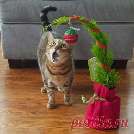 Genius Hacks to Cat-Proof Your Christmas Tree - Meowingtons