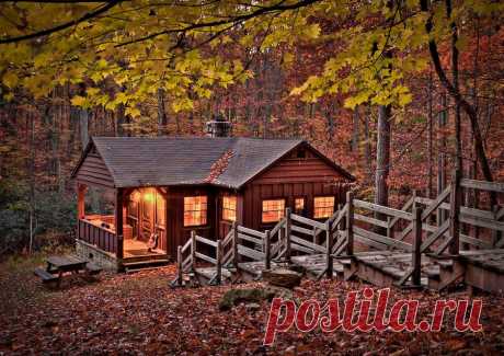Would you live in this cabin in the woods? (... - Woodworking Tips