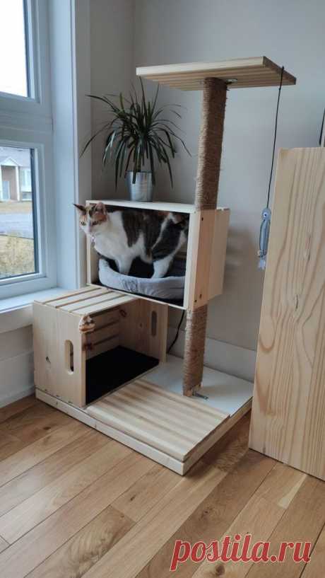 Arbre à chat en bois | Cats diy projects, Cat diy, Cat house diy