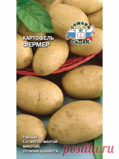 Семена картофеля фермер отзывы Огород без хлопот - информационный сайт для дачников, садоводов и огородников.