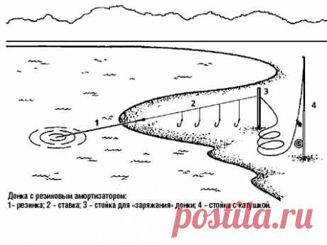 Когда выручает «резинка»  
 

Рисунок автора
 

 
Главное преимущество донки с резиновым амортизатором по сравнению со спиннинговой в том, что рыболову не приходится делать забросы всякий раз после поимки рыбы или проверки со…