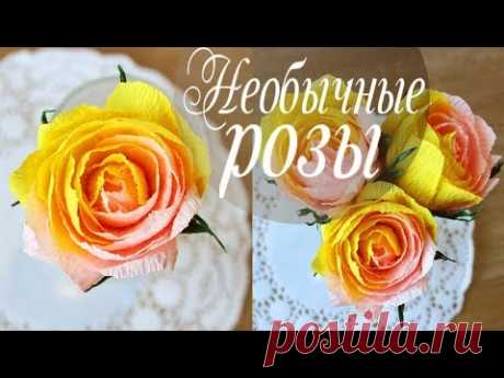Необычные розы нескольких цветов из бумаги - запись пользователя AlinaRomanovna (Алина) в сообществе Работа с бумагой в категории Другие поделки из бумаги и картона