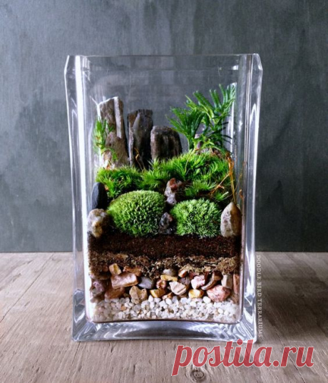 Easy Garden Landscape Terrarium Cube - for apartment living; bring the outdoors in!