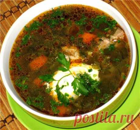 Рецепты супов из щавеля – легко и вкусно!