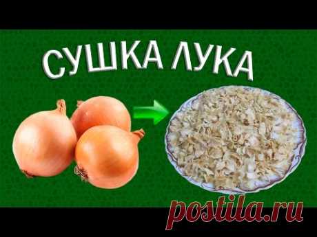 Лук репчатый – Чем полезен лук – Сушеный лук