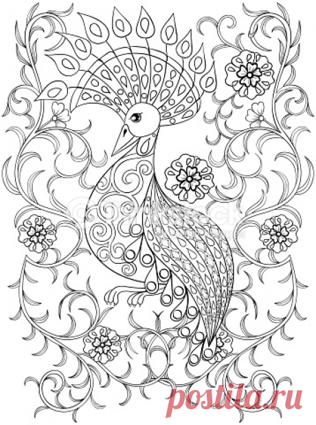 Coloring page with Bird in flowers, illustartion bird for adult... Coloring page with Bird in flowers, illustartion bird for adult Coloring books or tattoos with high details isolated on white background. Vector monochrome sketch of exotic bird.