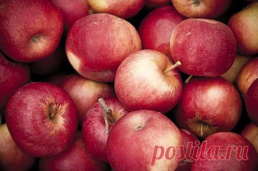 Нутрициолог заявил, что яблоки снижают уровень холестерина | Bixol.Ru