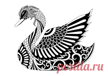 Drawing Zentangle Swan For Coloring Page, Shirt Design Effect, Logo, Tattoo And Decoration. Stock Vector - Illustration of coloring, creative: 61840917 Illustration about Drawing zentangle swan for coloring page, shirt design effect, logo, tattoo and decoration. Illustration of coloring, creative, intricate - 61840917