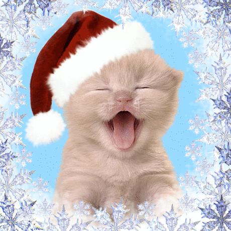 Happy Christmas Kitty Pictures, Photos, and Images for Facebook, Tumblr, Pinterest, and Twitter