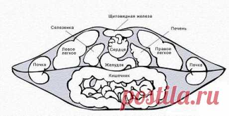 Диагностика здоровья по губам