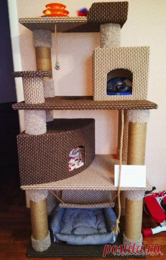 Четырехэтажный игровой кото-комплекс с двумя домиками своими руками