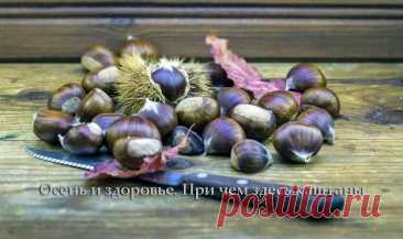 Осень и #здоровье. При чем здесь каштаны
- Это вкусный и полезный дар природы
#Каштаны — что можно приготовить. #Рецепты
- Каштановый крем: простой рецепт вкусной пасты
- Кастаньяччо: каштановый #кекс из Тосканы (веганский)
- Кастаньяччо, осенний апулийский #десерт