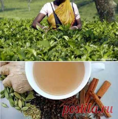 Индийский пряный чай- рецепты.