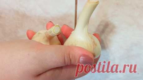 ¿Qué le pasará a tu cuerpo si comes 1 diente de ajo al día? Top francés de Christina | Yandex Zen