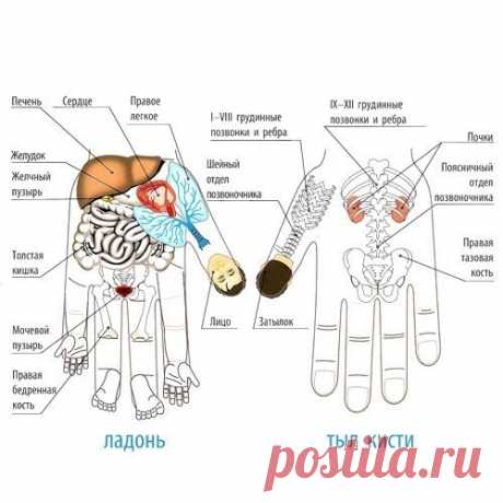 ТАЙНАЯ СИЛА ....МИЗИНЦА. ВЛИЯТЕЛЬНЫЙ УКАЗАТЕЛЬНЫЙ.....