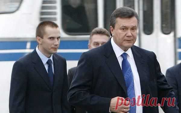7000 компаний захватила семья Януковичей. Но их активы почему-то никто не трогает • Национальный антикоррупционный портал АНТИКОР