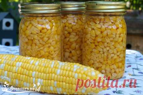 Кукуруза консервированная – пошаговый рецепт с фото