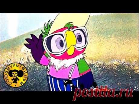 Попугай Кеша - Возвращение блудного попугая | Все серии подряд - YouTube